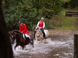 IMG_8420_web